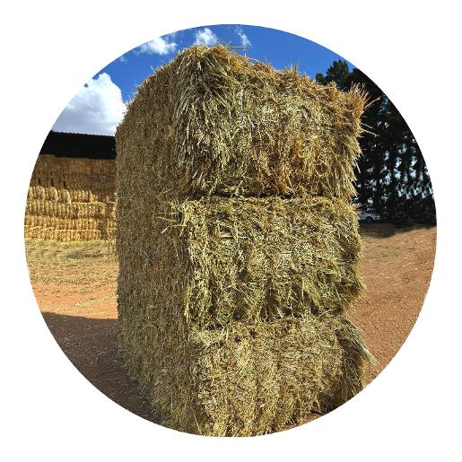 Oaten Hay