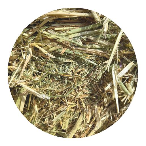 قش الشوفان قش الشوفان