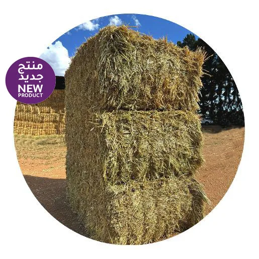 Oaten Hay